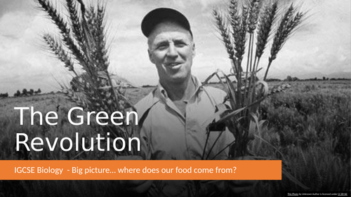 Food production: the green revolution