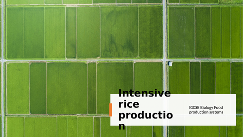 Food production: rice production