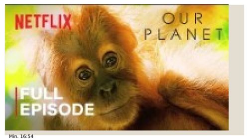 Flowering and non flowering plants