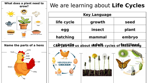 EYFS Knowledge Organiser - Life Cycles