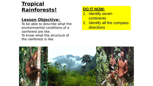 Tropical Rainforests - Environmental conditions