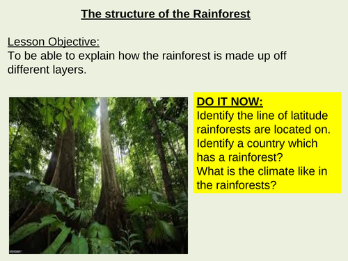 Tropical Rainforest structure