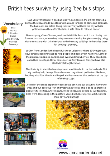 Bee Bus stop comprehension