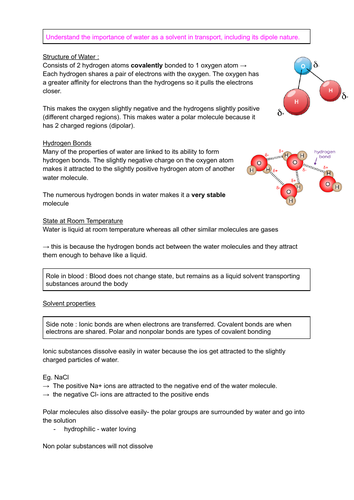 Topic 1- biology A level revision notes