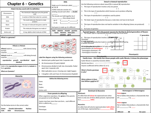Genetics revision broadsheet AQA GCSE KS4