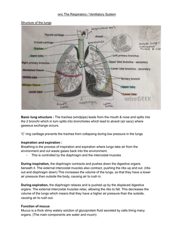 Topic 2- biology A level revision notes | Teaching Resources