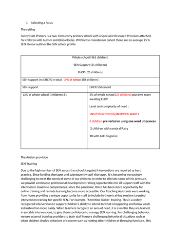 Action Research Essay NASENCO Award SENCO award