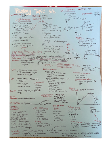 Biology Poster Unit 4 Biology