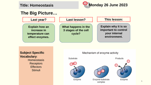 AQA GCSE Bio /Science Homeostasis and response lessons