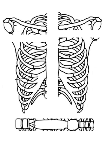 Skeleton jigsaw puzzle diagram