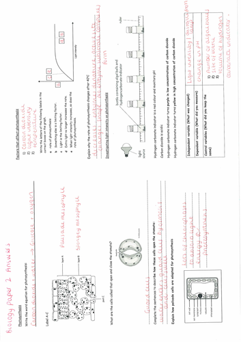 Edexcel GCSE Biology Paper 2 Active Recall Revision Workbook | Teaching ...