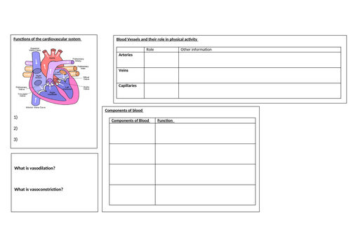 GCSE Revision Mats for all topics