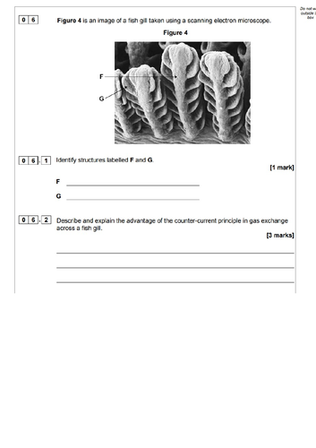 AQA Gas Exchange in Fish