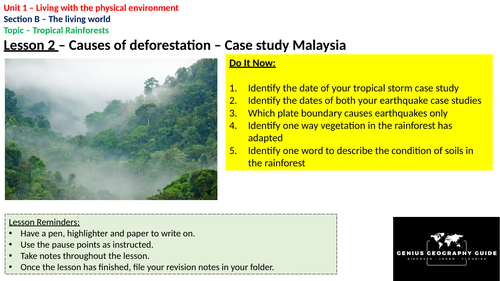 Deforestation - Causes and Effects