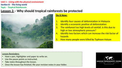 Rainforest-Why they need to be protected