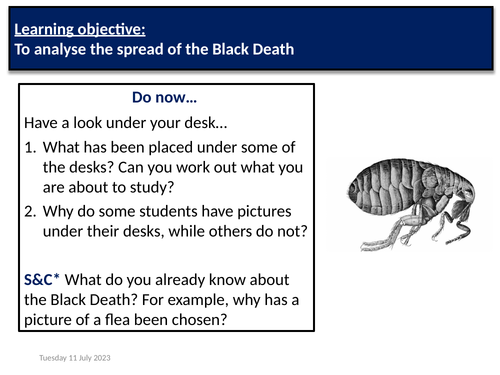 KS3 - Arrival of the Black Death | Teaching Resources