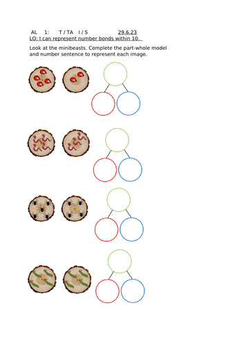 Minibeast maths EYFS