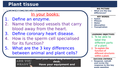 Organisation unit bundle