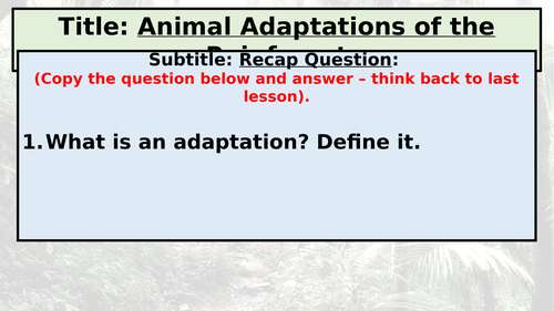 KS3: Tropical Rainforests: L5: Animal Adaptations