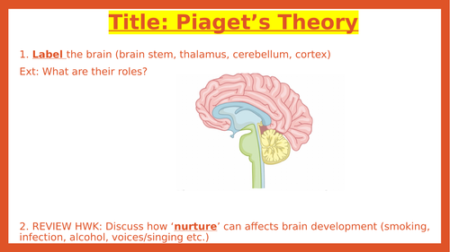 Piaget s Theory GCSE Psychology AQA Teaching Resources