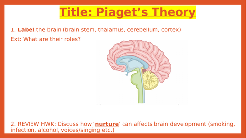 Piaget's Theory (GCSE Psychology AQA)
