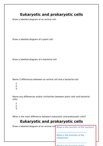 Eukaryotic and prokaryotic cells worksheet