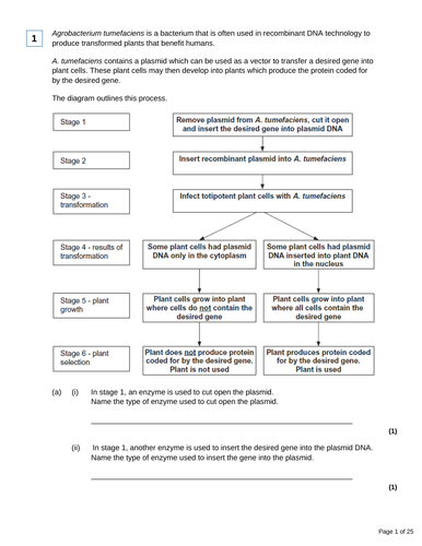AQA A LEVEL BIOLOGY TOPICS 5-8 EXAM QUESTIONS AND MARK SCHEME