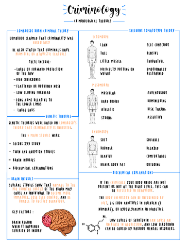 AS Criminology Criminological Theories Summary