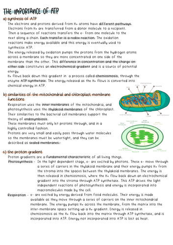 WJEC A2 Biology Important of ATP Summary