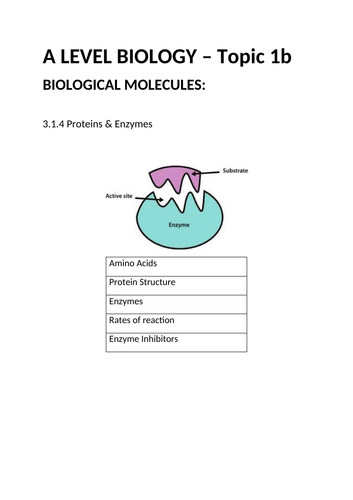 AQA A LEVEL BIOLOGY CLASS WORK BOOK PROTEINS AND ENZYMES