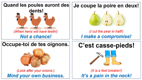 French idiom classroom display