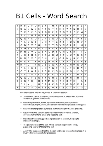 B1 Cells - Word Search