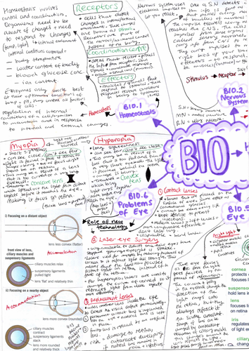 GCSE Biology B10-B11 : Human Nervous System and Hormonal Control