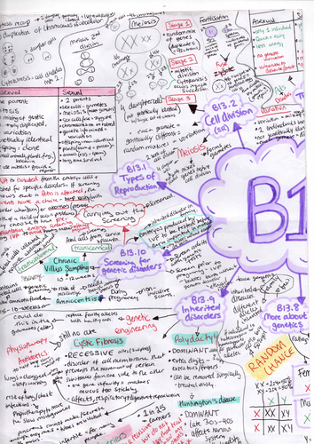 GCSE BIOLOGY B12-B14 : Genetics and Reproduction