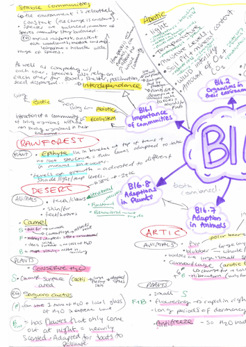 GCSE BIOLOGY B15,B17 : Ecology