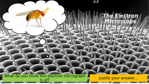 3.2 The Electron Microscope