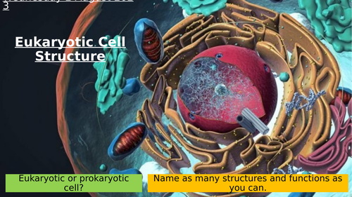 3.4 Eukaryotic Cell Structure