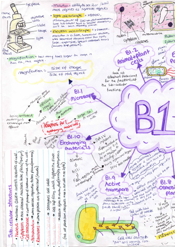 GCSE BIOLOGY SUMMARY POSTERS