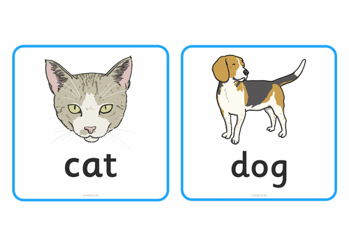 Year 6 Living Things Science