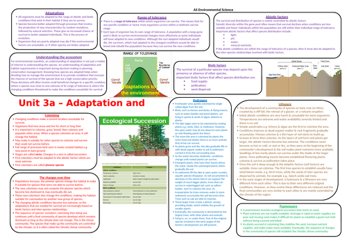 AS Environmental science adaptation and succession knowledge organiser