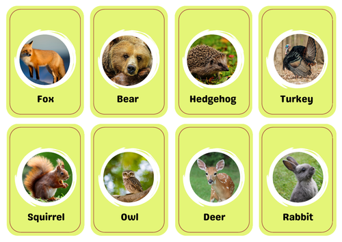 Animal Phot cards Printable Flashcards