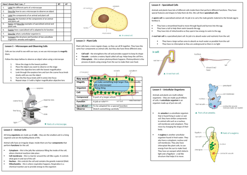Year 7 Science - Cells - Knowledge Tracker / Revision Lesson