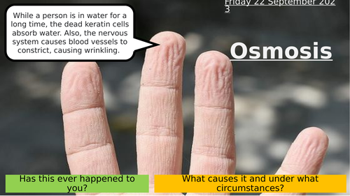 4.3 Osmosis