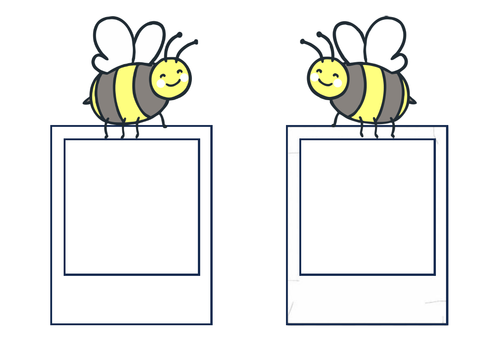 Bee Display