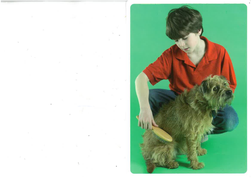 EAL Intervention - Grammatical morphemes