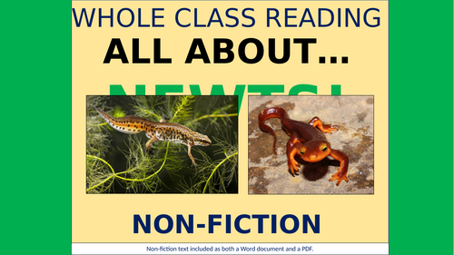 All About Newts - KS2 Non-Fiction Reading Comprehension!