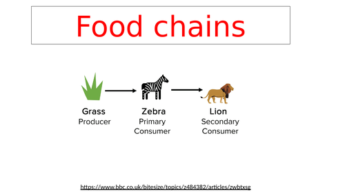 Food chains PowerPoint