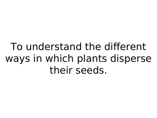Seed dispersal PowerPoint