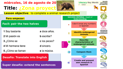 Viva 1 Mod 1 Zona proyecto