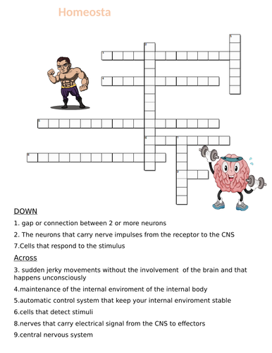 7 Homeostasis cross word puzzle each with 35 words